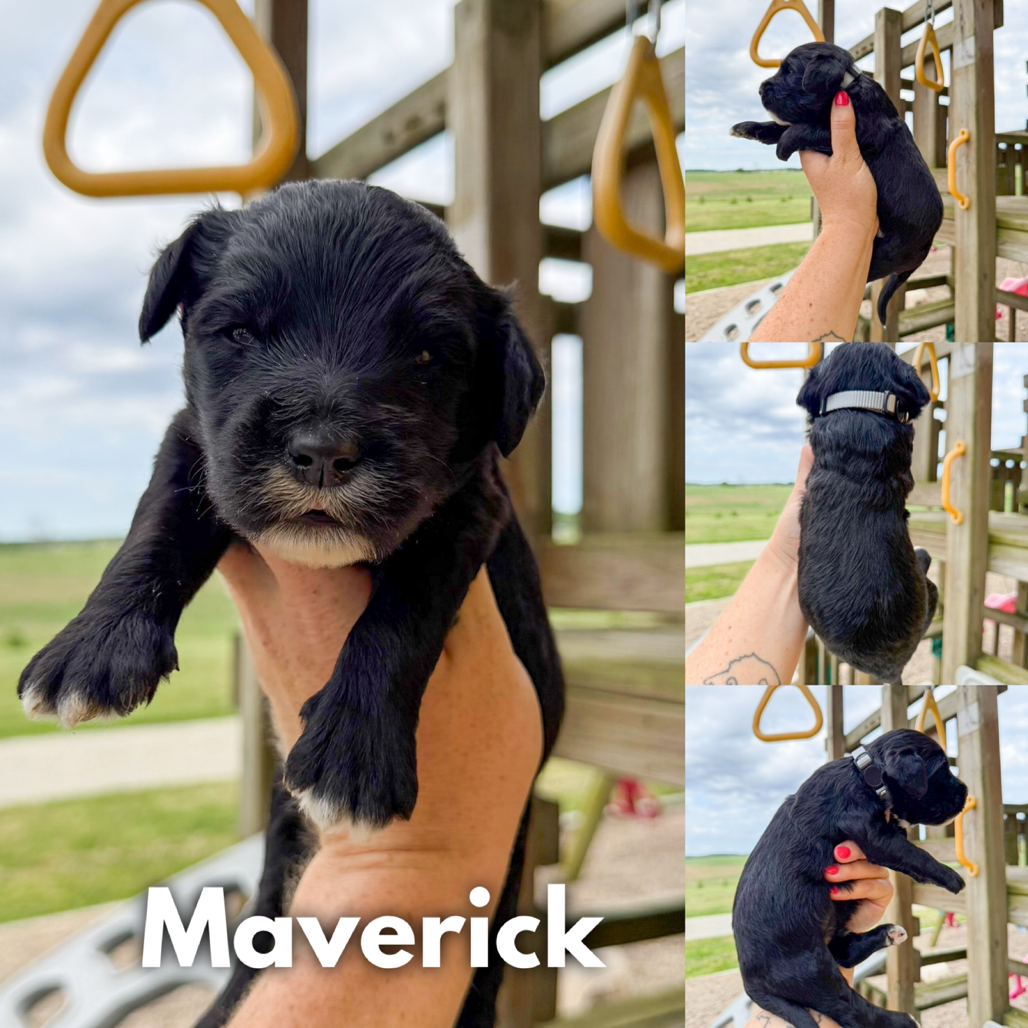 Maverick 1